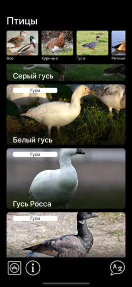 Game screenshot Манок - Птицы Европы hack