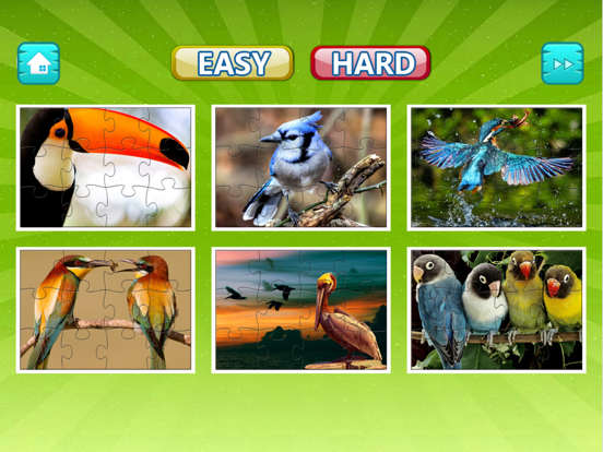 Bird Jigsaw Easy and Hard - Learn Puzzles For Kids iPad screenshot