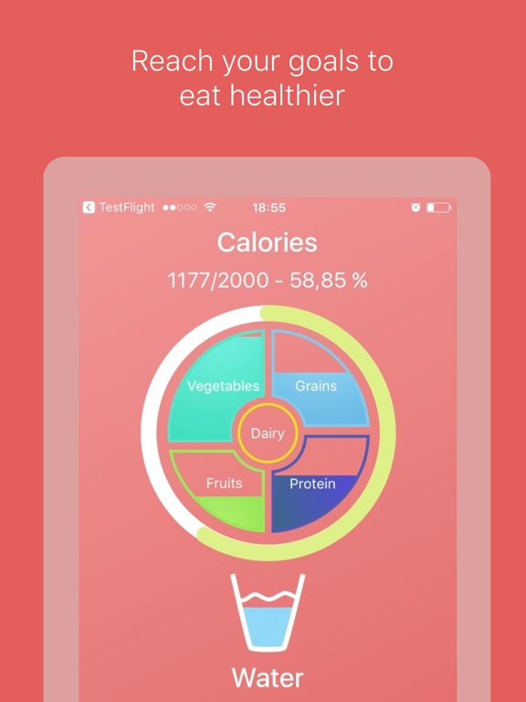 Screenshot #1 for Daily Plate. Food log based on USDA guidelines