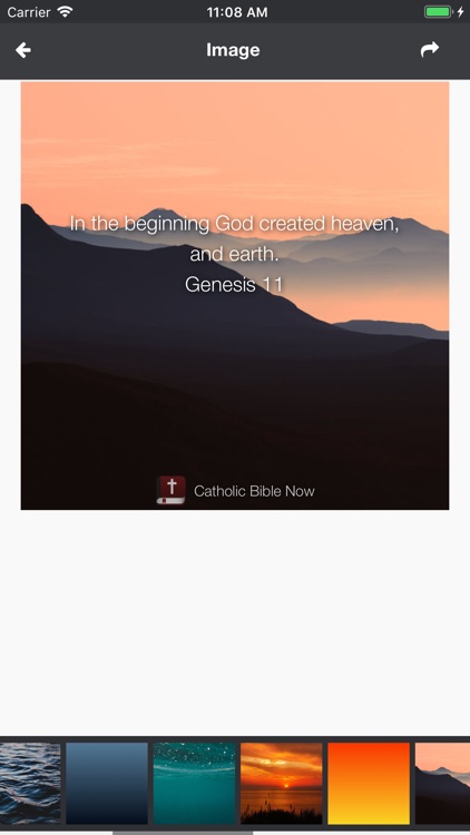 Catholic Bible Now screenshot-4