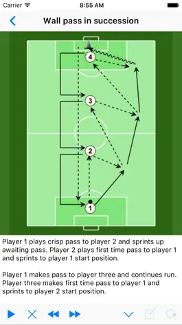 Game screenshot Soccer Playview hack