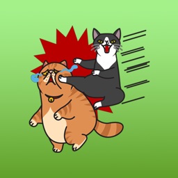 The Fat and Thin Cats