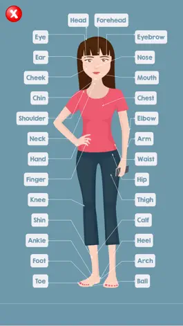Game screenshot Human Body Parts Name apk