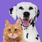 Icon Pet Parade: Cutest Dogs & Cats