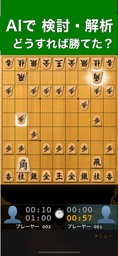 Screenshot of Pro Shogi