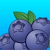 Smartirrigation Blueberry icon