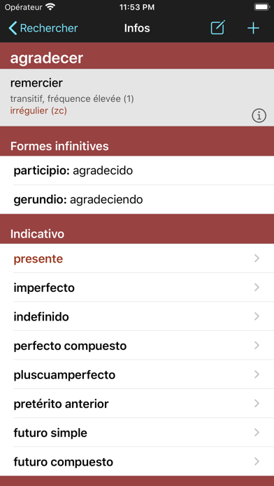 Screenshot #2 pour Spanish Verbs & Conjugation