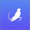 SwiftUI学习教程 - iPhoneアプリ