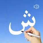 Urdu Words & Writing App Problems