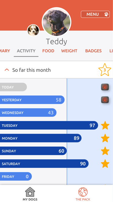 PitPat Screenshot