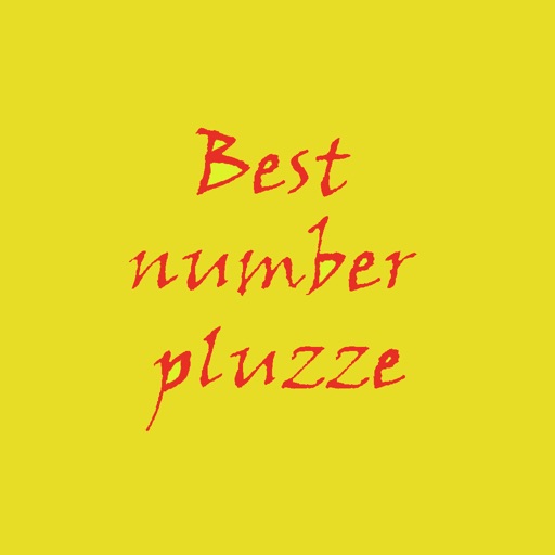 Best number pluzze