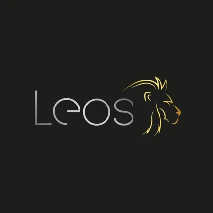 Leos Salon Читы