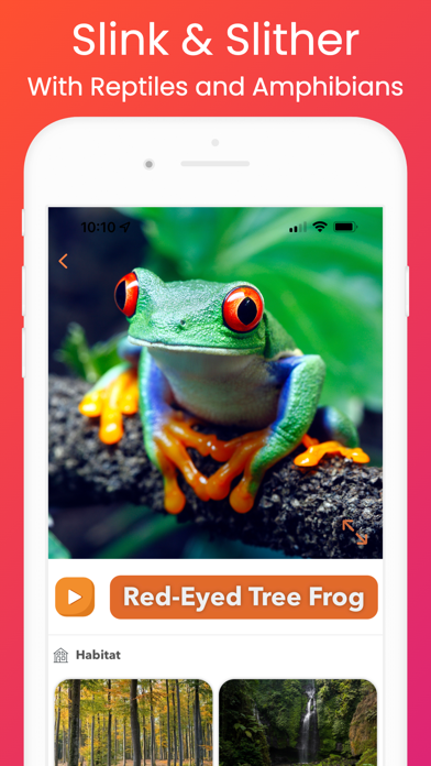 YipYap - Animal Discovery Screenshot