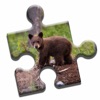 Bear Love Puzzle icon