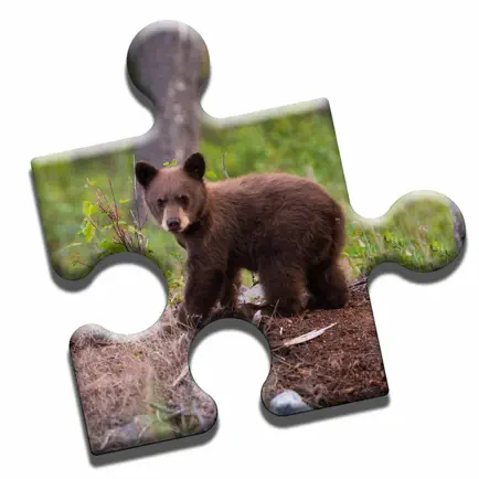 Bear Love Puzzle Читы