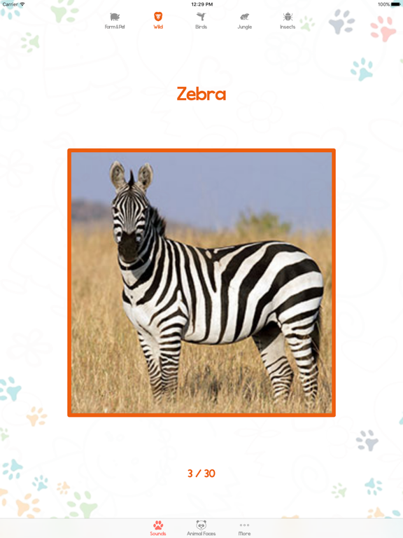 Animal Sounds and Pictures for Baby iPad screenshot