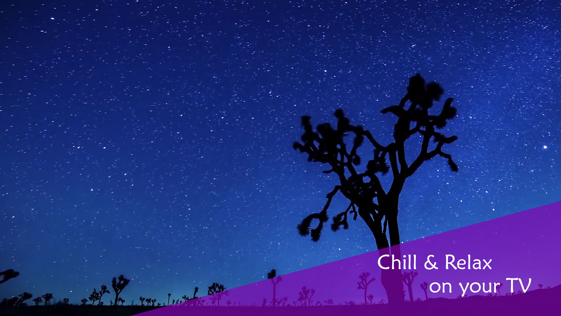Chill & Relax Night Sky Stars HD Video screenshot 3