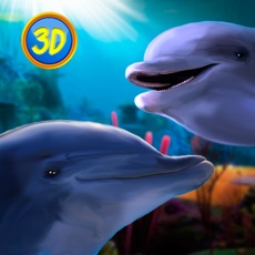 Activities of Dolphin Family Simulator