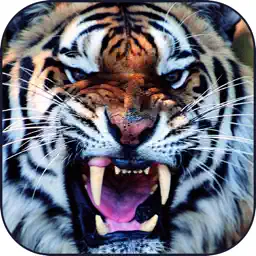 Power and Endurance Training app icon