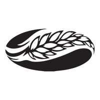 Зерно & Тесто logo