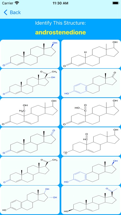 Estrogen Hormones Tutor