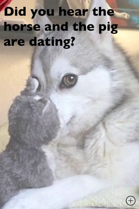 PunHusky Comedy Club