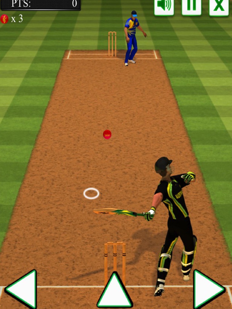【图】Smash Cricket Challenge(截图3)