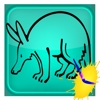 Coloring Book Anteater