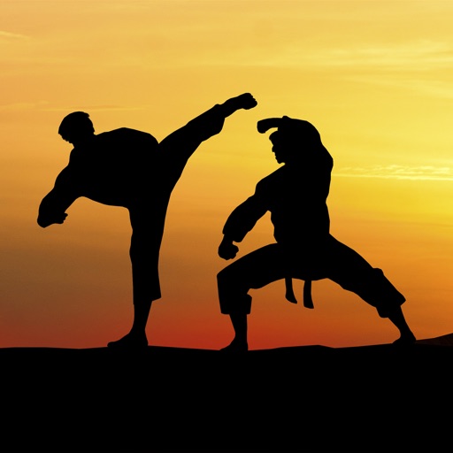 Taekwondo Wallpapers HD-Quotes and Art Pictures iOS App