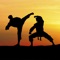 This App selected critically “Taekwondo” Inspired pictures, photography and paintings, all of which are of HD gallery-standard artworks with highest quality