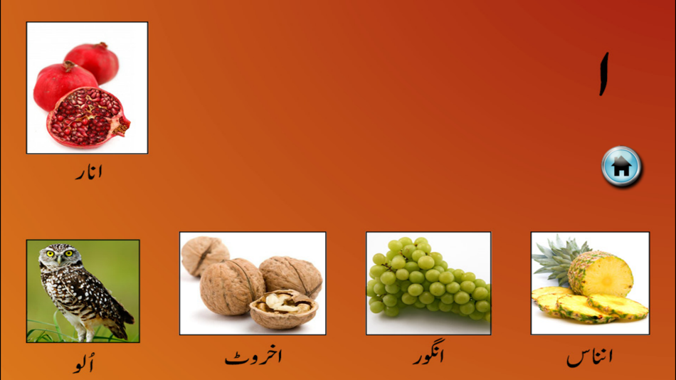 My First Book of Urdu HD - 3.5.1 - (iOS)