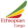 Ethiopian Cargo icon