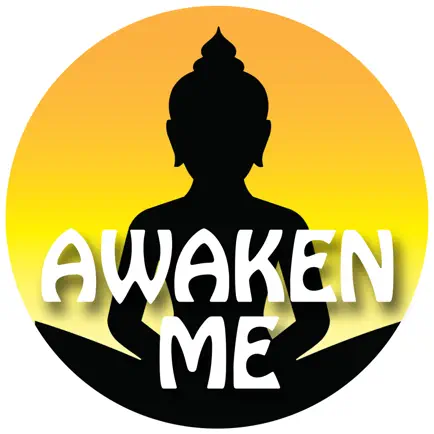 Awaken Me - Origin Cheats
