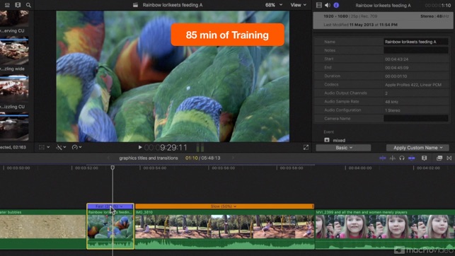 FCPX Graphics Titles and Transitions(圖5)-速報App