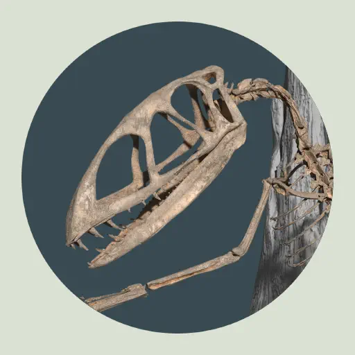 Museum Alive Immersive