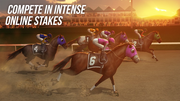 Photo Finish Horse Racing – 3D Virtual Riding