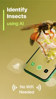 insect identifier iphone screenshot 1