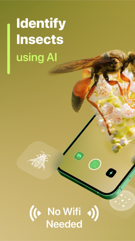 #1. Insect Identifier (iOS) By: Le Giang Nam