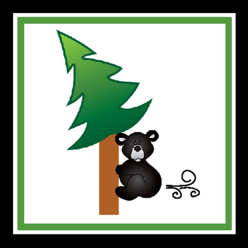 Bear Tootin Cabin Rentals icon