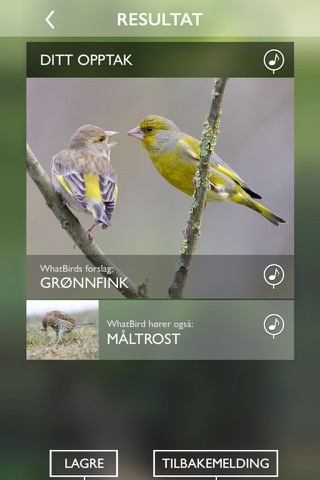 WhatBird screenshot 3