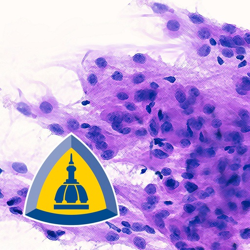 Johns Hopkins Atlas of Surgical Neuropathology app icon