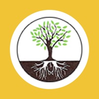 The Mulberry Primary School