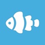 Aquarium Calculator Plus app download