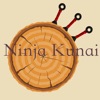 Ninja Kunai