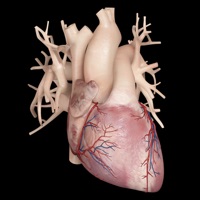 Cardiological pour PC