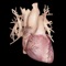 Cardiological is an education tool for cardiologists to help their patients better understand their condition