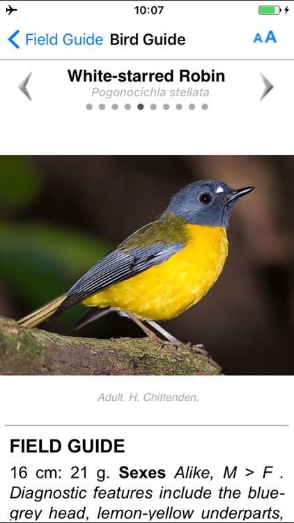 Roberts VII Multimedia Birds of Southern Africa HD screenshot-4