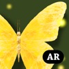 Butterfly Tree icon