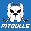 Bristol Pitbulls App