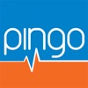 Pingo Analisi Internet icon